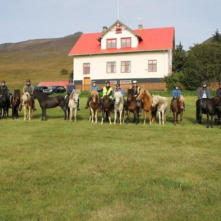 Ferthaþjonustan Geitaskarthi Panzió Blonduos Kültér fotó